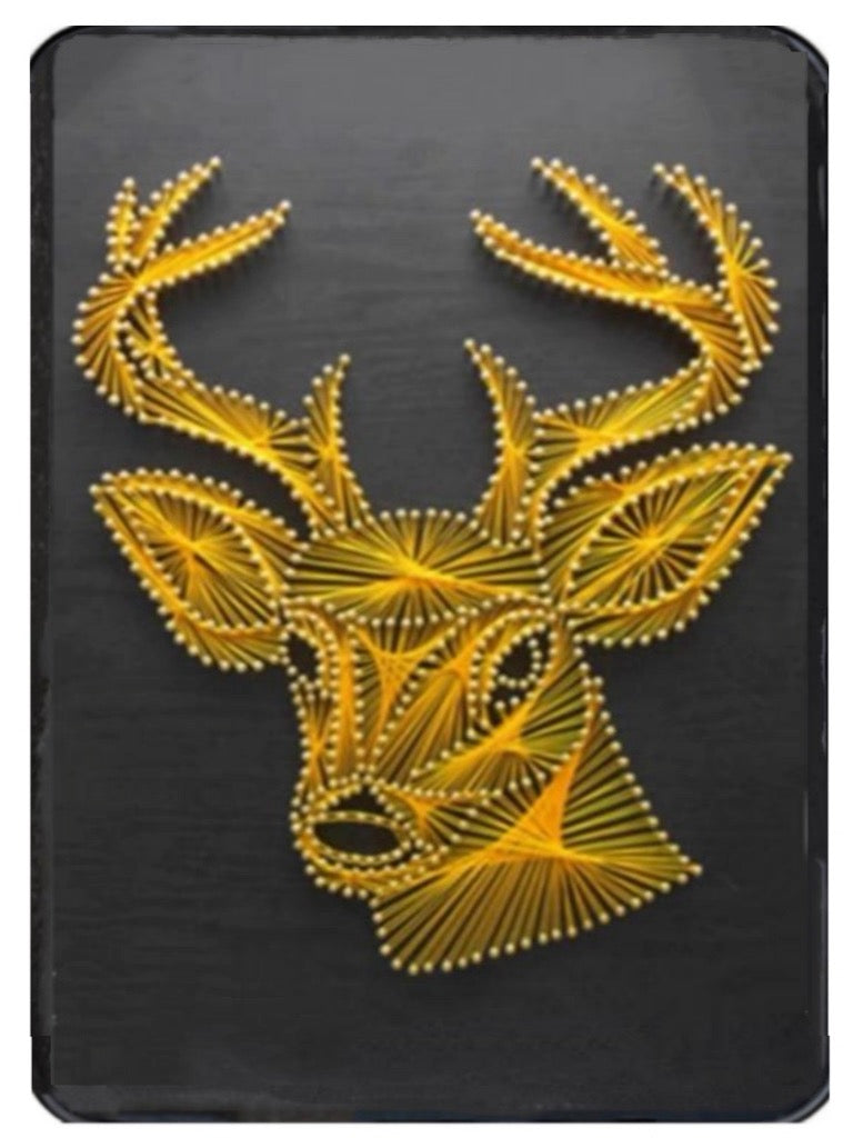 DIY String Art Kit with Frame (8" x 12") - Large Size Creative Collection