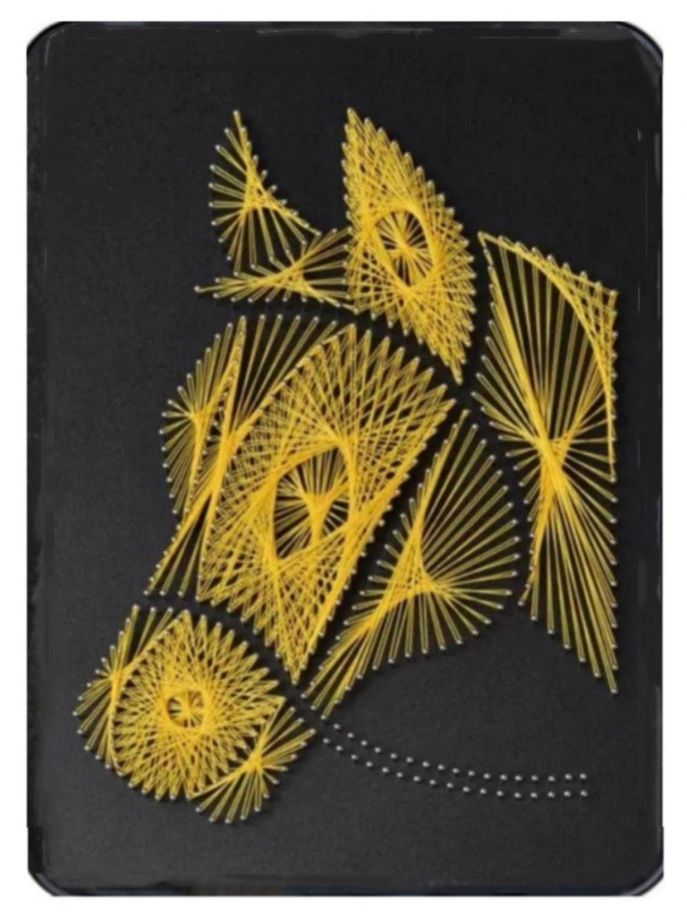 DIY String Art Kit with Frame (8" x 12") - Large Size Creative Collection